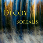 gallery/decoy borealis head front